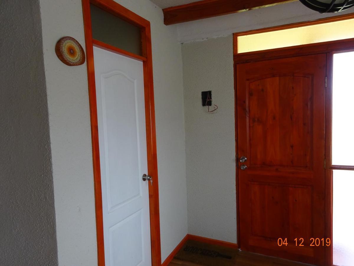 Troncos De En Puerto Montt Con Tinaja Caliente Alerce