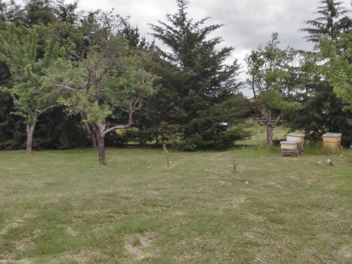 Troncos De En Puerto Montt Con Tinaja Caliente Alerce